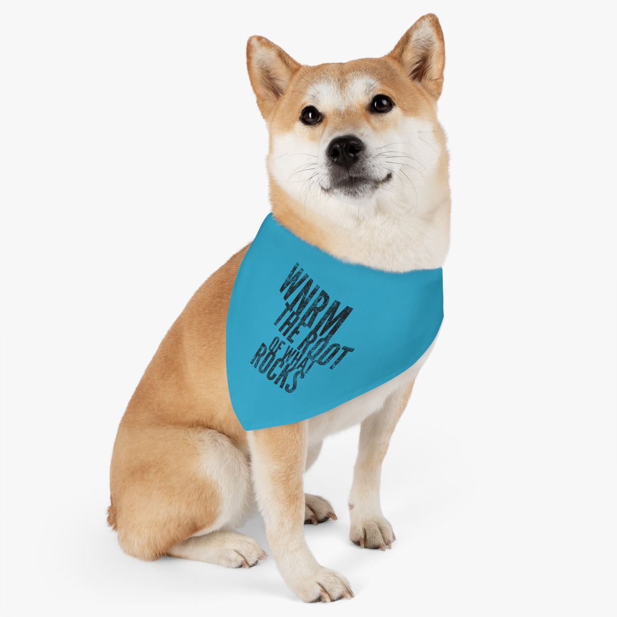 OG WNRM Logo Pet Bandana Collar on a fluffy light brown dog with a white background