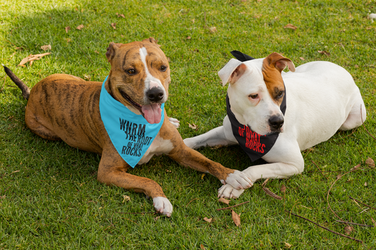 Two dogs wearing OG WNRM Logo bandannas one brown dog, one white dog, they are holding hands on the grass